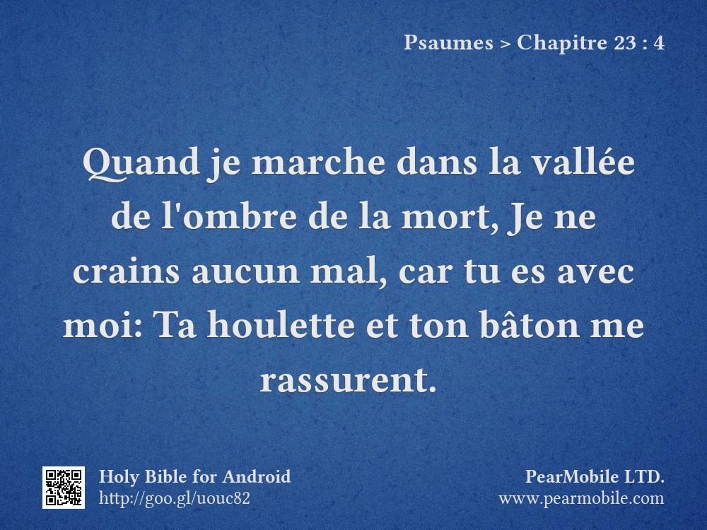 Psaumes, Chapitre 23:4
